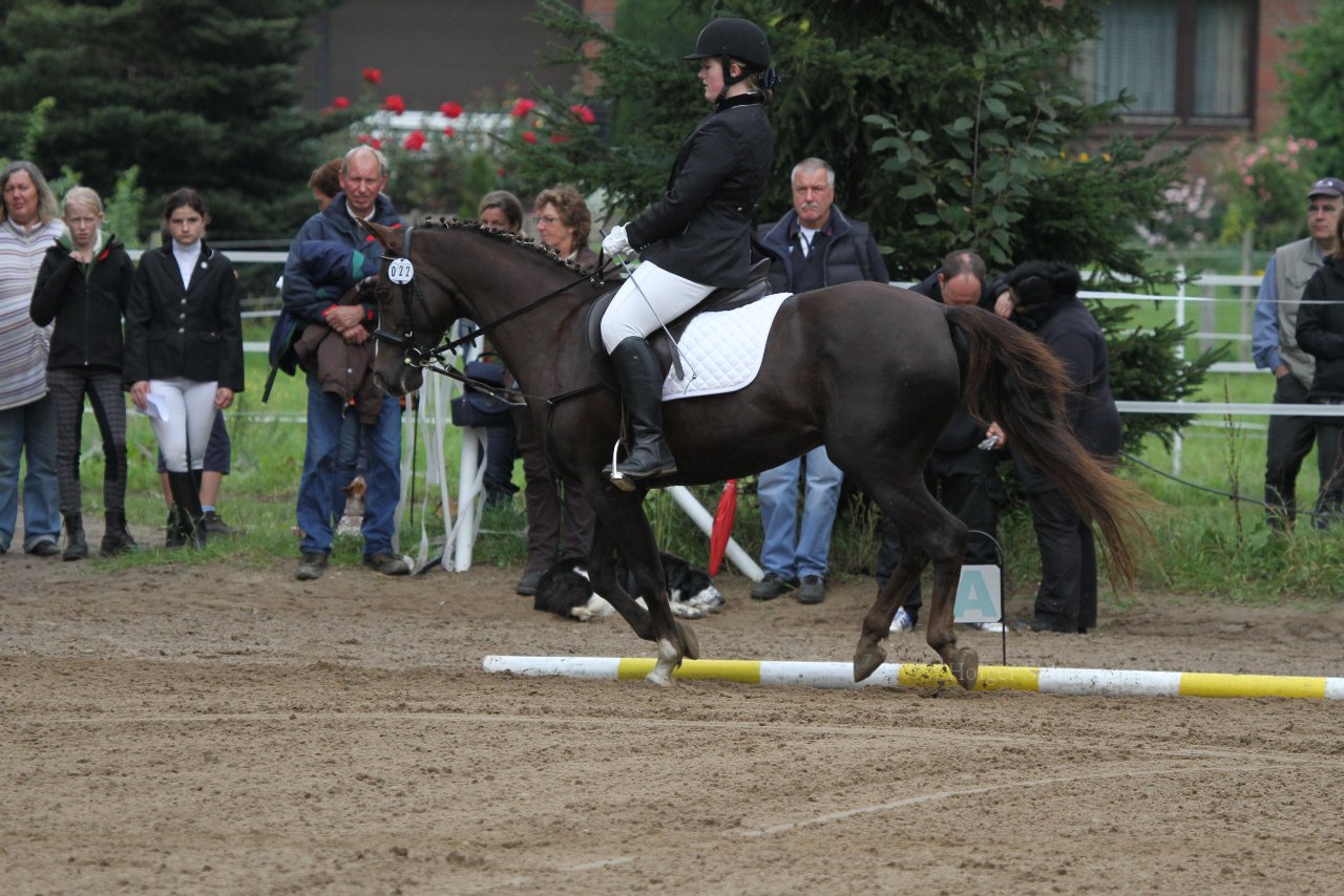 Bild 888 - WBO-Turnier am 18.9.11